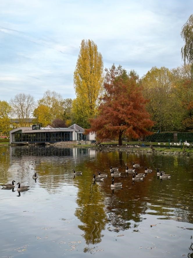 Brasserie l'Etang Waremme