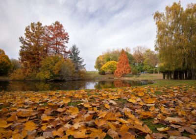 l'etang en automne