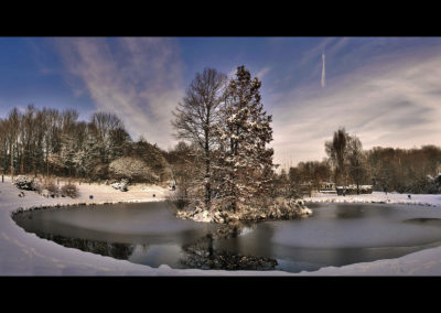 Panorama de l'etang en hiver